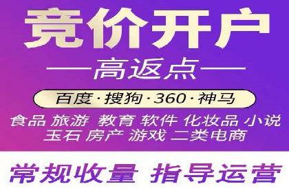 百度推广代运营案例：精准营销助力业绩增长